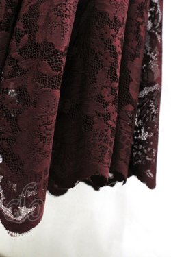 画像5: axes femme / レースサーキュラースカート M ワイン I-26-03-30-064-AX-SK-TE-ZI