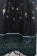 画像3: axes femme / オーナメントジュエリー柄スカート  黒 I-26-04-01-106-AX-SK-SA-ZI (3)