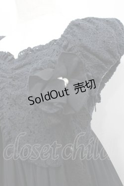 画像3: Victorian maiden / レースシフォンドールドレス  黒 I-26-04-03-055-CL-OP-TE-ZI