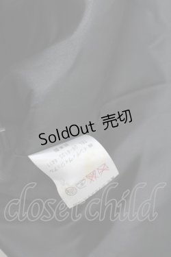 画像4: Victorian maiden / レースシフォンドールドレス  黒 I-26-04-03-055-CL-OP-TE-ZI