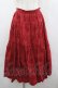 画像1: PINK HOUSE / フラワーレーススカート  赤 I-26-04-03-070-LO-SK-SA-ZI (1)