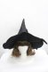 画像2: LOLITAその他(お買取対象外) / リボン魔女ハット  黒 I-26-04-08-047-LO-AC-SA-ZI (2)