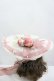 画像2: LOLITAその他(お買取対象外) / ローズリボンハット・お袖とめセット  ピンクｘアイボリー I-26-04-08-049-LO-AC-SA-ZI (2)