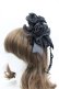 画像1: LOLITAその他(お買取対象外) / ローズリボンキャノティエクリップ  黒 I-26-04-08-074-LO-AC-SA-ZI (1)