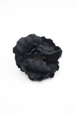 画像1: PINK HOUSE / パール使いフラワーコサージュ  黒 I-26-04-08-108-LO-ZA-TE-ZI