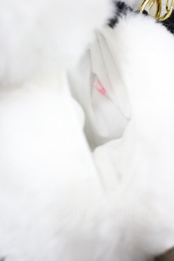 画像3: Angelic Pretty / Charming Keita Pandaぬいぐるみポーチ   I-26-04-12-113-AP-ZA-TE-ZI