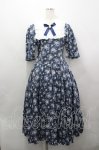 画像1: Physical Drop / 花柄レディレトロワンピース  ネイビー I-26-04-19-060-LO-OP-SA-ZI (1)