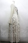 画像4: Lace Made / 「星降りのドナウ川」ドレス XL 生成り I-26-04-19-071-GO-OP-TE-ZI (4)