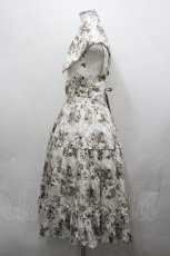 画像2: Victorian maiden / アンティークロココブーケエプロンドレス  オフ I-26-04-20-062-CL-OP-TE-ZI (2)