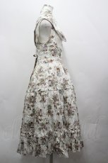 画像4: Victorian maiden / アンティークロココブーケエプロンドレス  オフ I-26-04-20-062-CL-OP-TE-ZI (4)