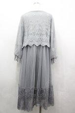 画像2: axes femme / レース刺繍チュールワンピース  ブルー I-26-04-26-047-AX-OP-SA-ZI (2)