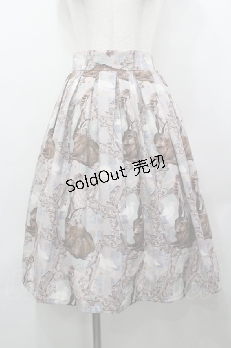 画像1: Medee / Outdoor Attractions スカート L サックス×ミント I-26-04-27-067-LO-SK-SA-ZI (1)
