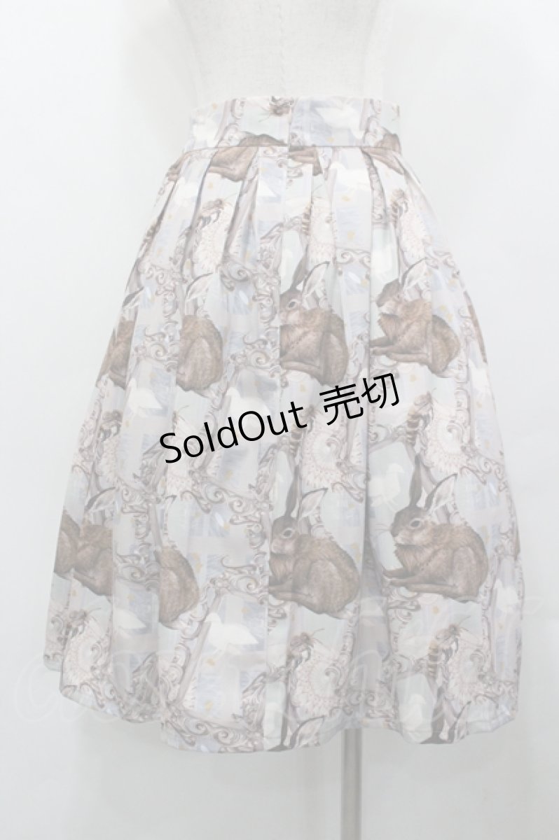 画像3: Medee / Outdoor Attractions スカート L サックス×ミント I-26-04-27-067-LO-SK-SA-ZI (3)