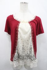 画像1: axes femme / プリントチュール切替トップス M 赤 I-26-04-29-018-AX-BL-TE-ZI (1)