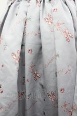 画像3: Ank Rouge / トゥーシューズ柄スカート  サックスＸピンク I-26-05-10-116-CA-SK-SA-ZI (3)