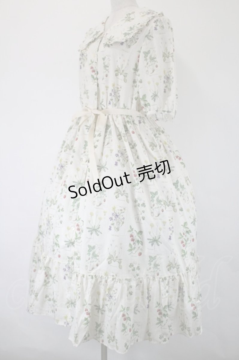 画像2: Melody BasKet / 植物図鑑フロントボタンワンピース  アイボリー I-26-05-14-057-LO-OP-SA-ZI (2)