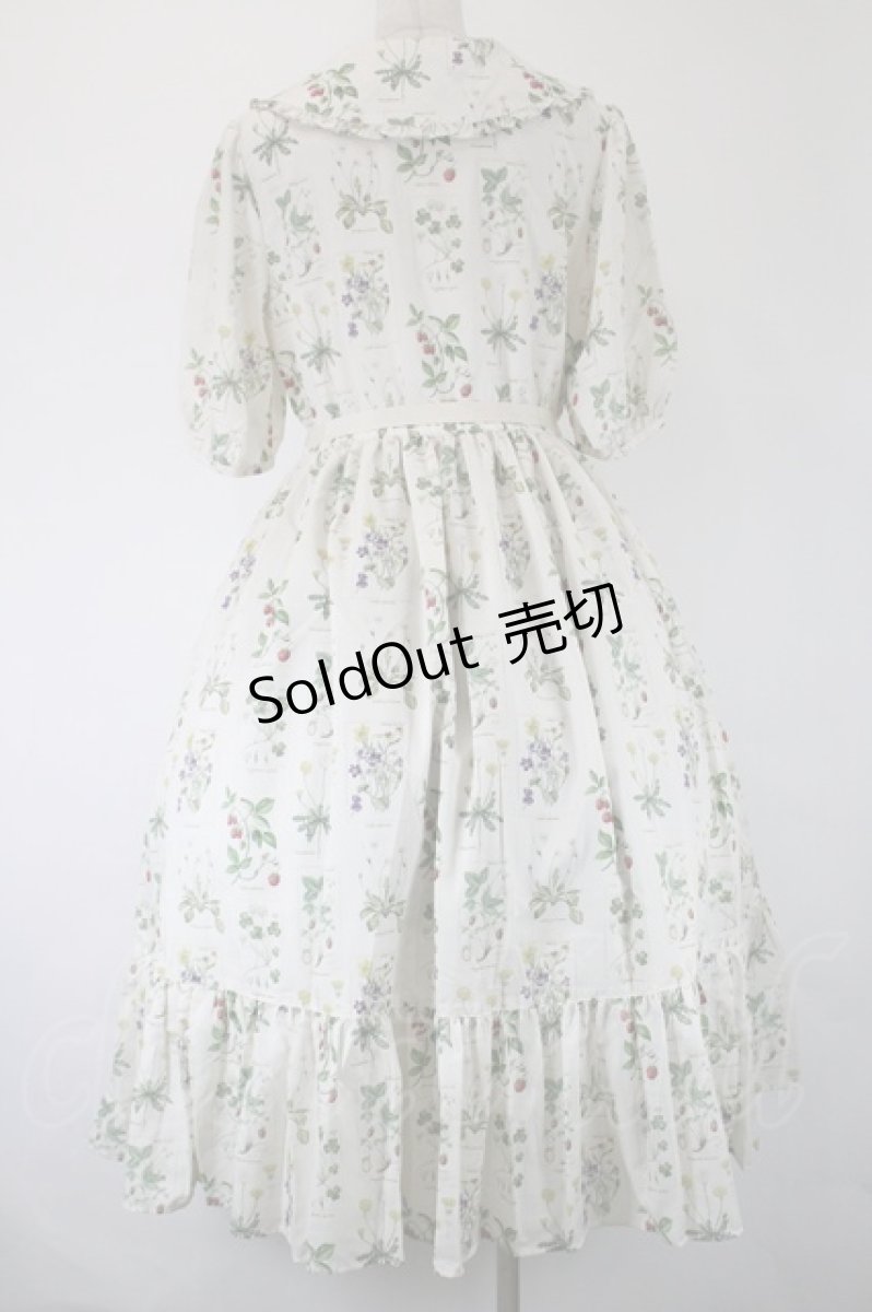 画像3: Melody BasKet / 植物図鑑フロントボタンワンピース  アイボリー I-26-05-14-057-LO-OP-SA-ZI (3)