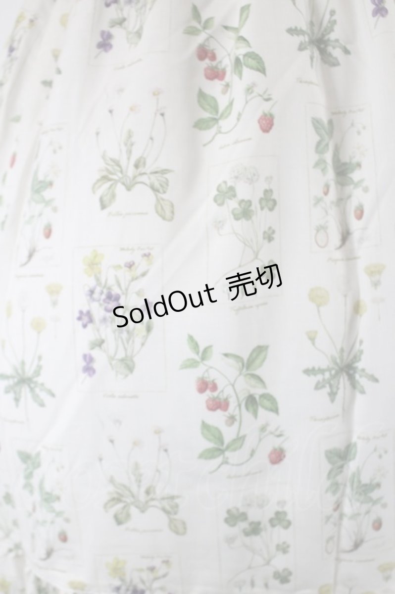 画像4: Melody BasKet / 植物図鑑フロントボタンワンピース  アイボリー I-26-05-14-057-LO-OP-SA-ZI (4)