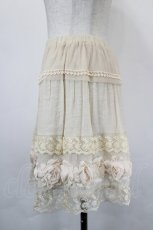 画像2: axes femme / ローズモチーフペチスカート M キナリ I-26-05-16-122-AX-SK-SA-ZI (2)