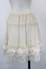 画像3: axes femme / ローズモチーフペチスカート M キナリ I-26-05-16-122-AX-SK-SA-ZI (3)