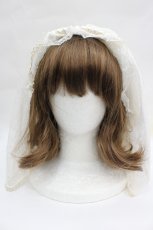 画像1: BABY,THE STARS SHINE BRIGHT / 月夜の森の AURORA Soiree ヴェール  アイボリー I-26-05-22-070-BA-ZA-SA-ZI (1)