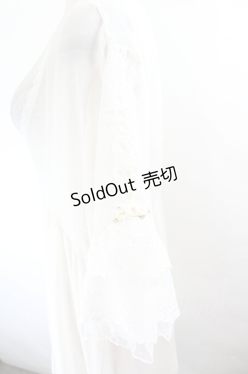 画像3: axes femme / シアー×チュールレースガウン F 白 I-26-05-27-069-AX-TO-SA-ZI (3)