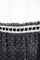画像3: axes femme / ローズフロッキー&ドットスカート  黒ＸグレーＸ白 I-26-06-08-080-AX-SK-SA-ZI (3)
