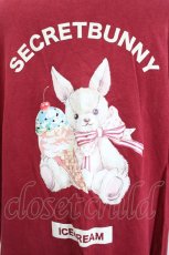 画像6: Secret Honey / SECRET BUNNYバックプリント ロングTシャツ  赤 I-26-06-21-060-CA-TO-TE-ZI (6)