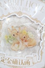 画像3: RABBIT HOLE / うさぎさんクリップ  ブラウン I-26-06-23-113-LO-AC-SA-ZI (3)