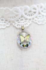 画像2: LOLITAその他(お買取対象外) / 蝶モチーフレースチョーカー  白 I-26-06-23-130-LO-AC-SA-ZI (2)