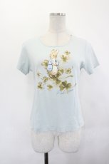 画像1: PINK HOUSE / ピーターラビットプリントTシャツ  サックス I-26-07-05-057-LO-TO-SA-ZI (1)