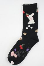 画像1: PINK HOUSE / スイーツスプリングバニープリントソックス  黒 I-26-07-15-129-LO-ZA-SA-ZI (1)