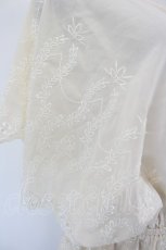 画像4: axes femme / 総刺繍Vネックブラウス  生成り I-26-07-26-001-AX-BL-TE-ZI (4)