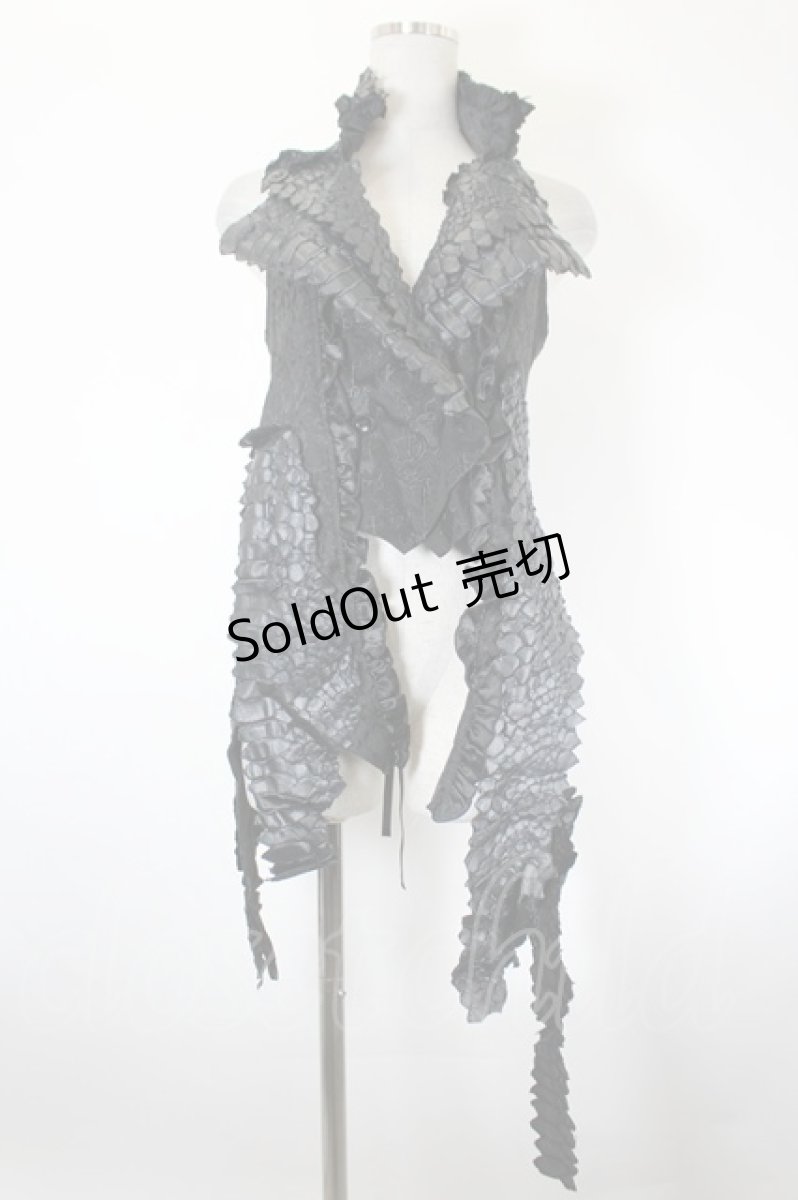 画像1: h.NAOTO / DRAGON LEATHER vest  黒 I-26-08-28-025-HN-SK-TE-ZI (1)