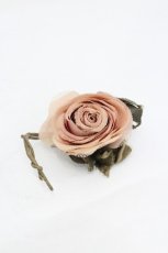 画像1: WONDERFUL WORLD / ミニ薔薇コサージュ   I-26-10-25-125-LO-AC-SA-ZI (1)