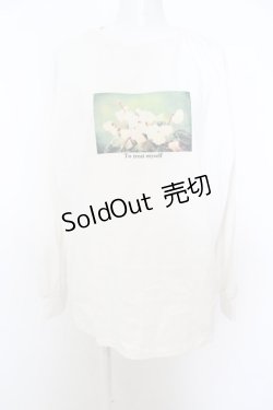 画像1: 【SALE】axes femme / アソートフラワーＴシャツ  シロ O-23-11-27-082-AX-TO-IG-ZT350