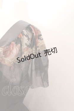 画像8: Juliette et Justine / Haniel - Bis mince〜ハニエル - ビス マンス〜 2 アンティーク O-24-10-31-074-CL-OP-IG-OS