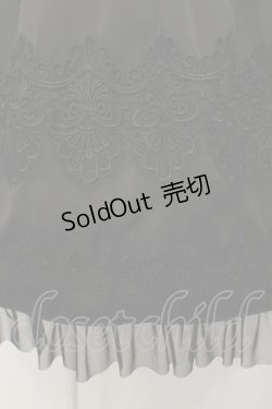 画像2: abilletage / nobleレースミディアムスカート  ブラック O-25-01-16-005-GO-SK-IG-ZI