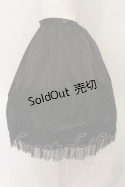 画像3: abilletage / nobleレースミディアムスカート  ブラック O-25-01-16-005-GO-SK-IG-ZI