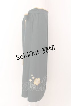 画像3: CEL / 刺しゅう入り袴スカート S グリーン×イエロー O-25-02-04-043-LO-SK-OW-OS