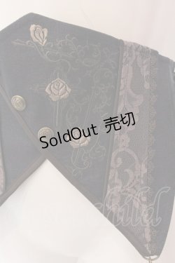 画像2: OZZ ANGELO / ローズ刺繍ナナメスナップボタンコルセット  ネイビー×ブラウン O-25-02-04-072-OO-ZA-IG-OS