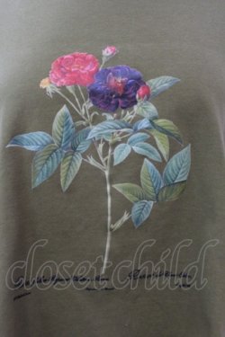 画像2: axes femme / ボタニカルガーデンTシャツ F グリーン O-25-02-19-1059-AX-TO-IG-ZT050