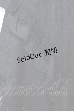 画像2: Qutie Frash / 蜘蛛メッシュロングスカート  ブラック O-25-02-25-019-QU-SK-OW-OS