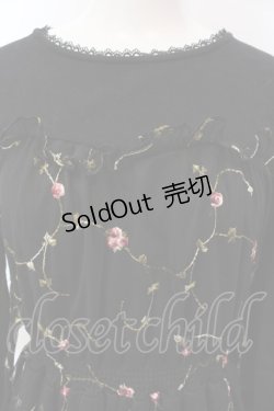 画像2: 【SALE】axes femme POETIQUE / 花刺繍チュールワンピース  黒 O-25-02-26-1039-AX-OP-ET-ZT474