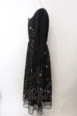 画像3: 【SALE】axes femme POETIQUE / 花刺繍チュールワンピース  黒 O-25-02-26-1039-AX-OP-ET-ZT474 (3)