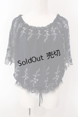画像1: axes femme / フラワー刺繍シフォントップス M コン O-25-02-26-1021-AX-TO-OW-OS
