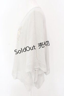 画像3: axes femme / レース×ローズ刺繍ポンチョ F グリーン O-25-02-28-076-AX-TO-OW-OS