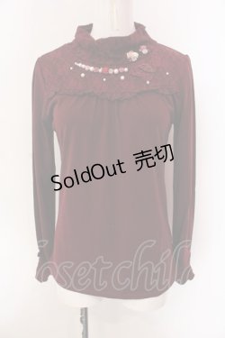 画像1: axes femme / 蝶レースガーデンタートル M ワイン O-25-02-28-013-AX-TO-IG-OS