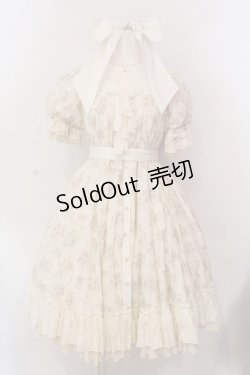 画像1: Hoshibako Works / エグランティーヌ フロントオープンリボンドレス  コーヒー（キナリ×ブラウン） O-25-03-10-009-LO-OP-OW-OS