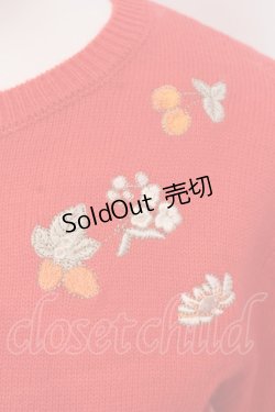 画像2: Franche Lippee / 果実シシュウニット  朱色 O-25-03-20-2001-LO-TO-IG-ZT203